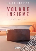 Volare insieme libro