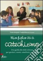 Mio figlio va a catechismo. Una guida alla fede cristiana per genitori, nonni, catechisti e animatori