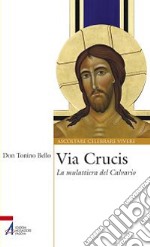 Via Crucis. La mulattiera del calvario libro