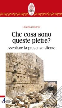 Che cosa sono queste pietre? Ascoltare la presenza silente libro