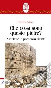 Che cosa sono queste pietre? Ascoltare la presenza silente libro