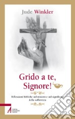 Grido a te, Signore! Riflessioni bibliche sul mistero e sul significato della sofferenza libro