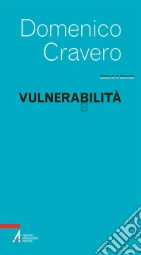 Vulnerabilità