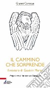 Il cammino che sorprende. Il mistero di Gesù in Marco libro di Carozza Gianni