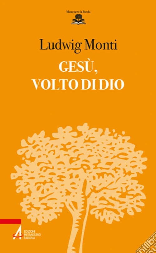 Ges�, volto di Dio