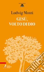 Gesù, volto di Dio libro