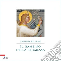 Il bambino della promessa libro