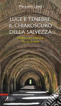 Luce e tenebre: il chiaroscuro della salvezza. Meditazioni bibliche, storie, poesie libro