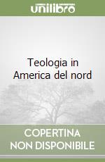 Teologia in America del nord