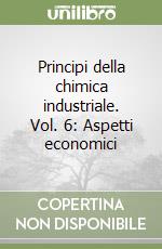 Principi della chimica industriale. Vol. 6: Aspetti economici