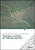 Principi e metodi di telerilevamento libro