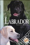 Il labrador libro