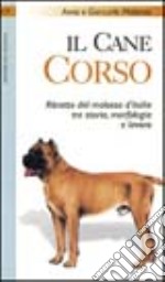 Il cane corso. Ritratto del molosso d'Italia tra storia, morfologia e lavoro