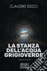 La stanza dell'acqua grigioverde libro