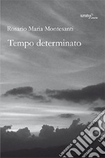 Tempo determinato libro