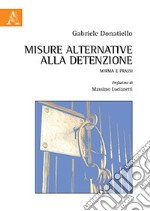 Misure alternative alla detenzione. Norma e prassi libro