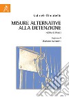 Misure alternative alla detenzione. Norma e prassi libro