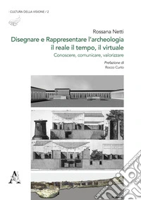 Disegnare e rappresentare l'archeologia: il reale, il tempo, il virtuale. Conoscere, comunicare, valorizzare libro