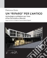 Un «riparo» per l'antico. Archeologia e architettura per l'area di San Carminiello ai Mannesi