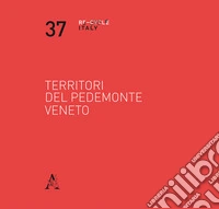Territori del pedemonte veneto. Racconto e progetto libro