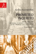 Prometeo inquieto. Trieste 1855-1937. L'economia, la povertà e la modernità oltre l'immagine della letteratura libro