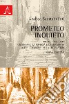 Prometeo inquieto. Trieste 1855-1937. L'economia, la povertà e la modernità oltre l'immagine della letteratura libro