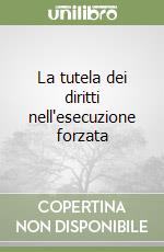 La tutela dei diritti nell'esecuzione forzata