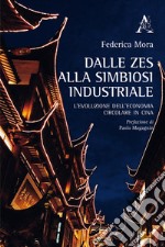 Dalle ZES alla simbiosi industriale. L'evoluzione dell'economia circolare in Cina libro