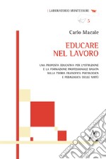 Educare nel lavoro. Una proposta educativa per l'istruzione e la formazione professionale basata sulla teoria filosofica psicologica e pedagogica delle virtù libro