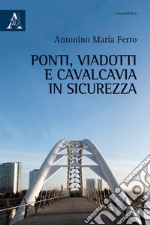 Ponti, viadotti e cavalcavia in sicurezza