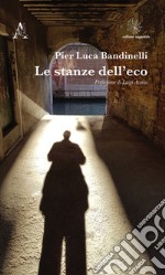 Le stanze dell'eco libro