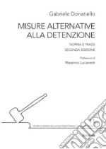 Misure alternative alla detenzione. Norma e prassi libro