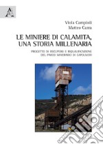 Le miniere di Calamita. Una storia millenaria. Progetto di recupero e riqualificazione del parco minerario di Capoliveri, Isola d'Elba