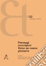 Paesaggi incompiuti. Verso un nuovo glossario