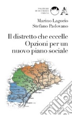 Il distretto che eccelle. Opzioni per un nuovo piano sociale libro