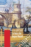 La luce che bagna Napoli libro