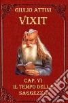 Vixit. Vol. 6: Il tempo della saggezza libro di Attini Giulio