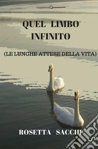 Quel limbo infinito