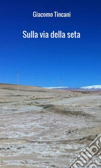 Sulla via della seta libro