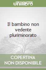 Il bambino non vedente pluriminorato libro