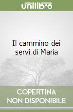 Il cammino dei servi di Maria