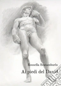 Ai piedi del David libro