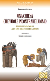 Una Chiesa che vuole incontrare l'uomo. Per una vita pastorale alla luce dell'Evangelii gaudium libro