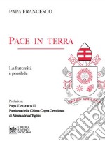 Pace in terra. La fraternità è possibile libro