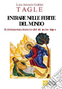 Entrare nelle ferite del mondo. Il cristianesimo dentro le sfide del nostro tempo libro