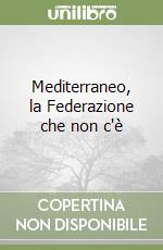 Mediterraneo, la Federazione che non c'è libro