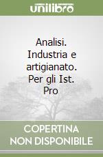 Analisi. Industria e artigianato. Per gli Ist. Pro libro