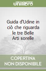 Guida d'Udine in ciò che riguarda le tre Belle Arti sorelle libro