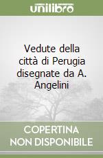 Vedute della città di Perugia disegnate da A. Angelini libro