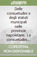 Delle consuetudini e degli statuti municipali nelle provincie napoletane. Le consuetudini della città di Capua ed Aversa (rist. anast. 1873) libro